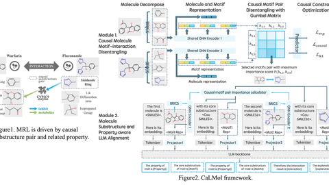 CaLMol: Disentangled Causal Graph LLM for Molecular Relational Learning