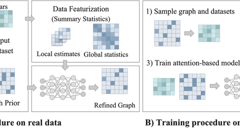 Learning to refine domain knowledge for biological network inference